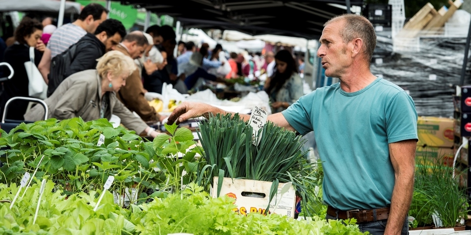 Markt in Deurne