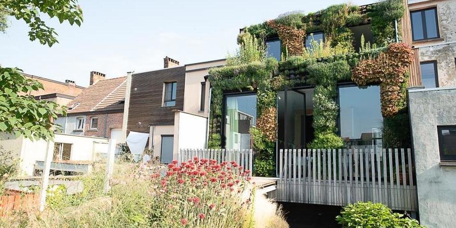 Elke Vierkante Meter Muur Kan Straks Je Tuin Worden Antwerpen Be