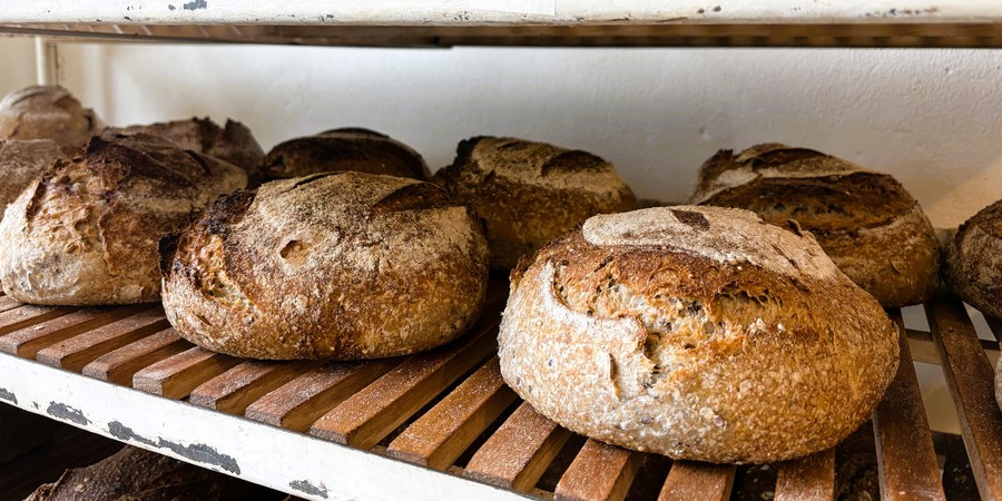 Brood van desembakkerij GROF Brood van desembakkerij GROF