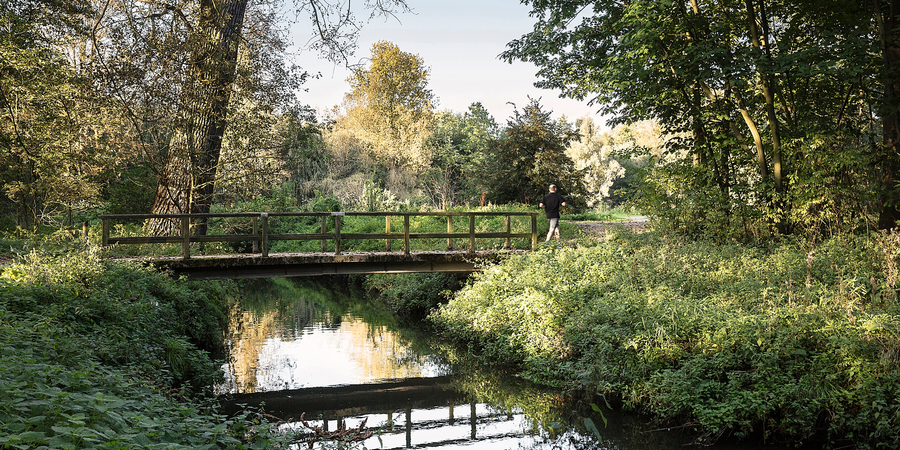 Een brugje over een rivier in het Rivierenhof. Een brugje over een rivier in het Rivierenhof.