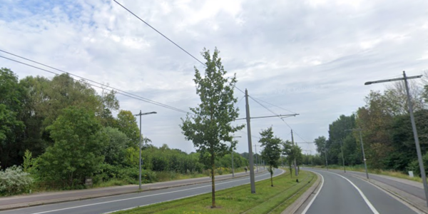 Ruggeveldlaan