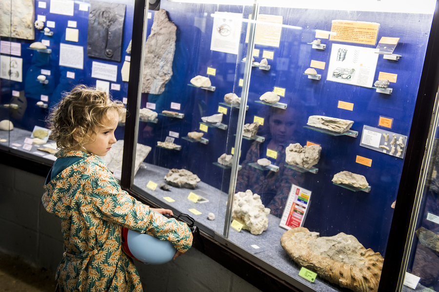 Natuurhistorisch Museum Boekenberg
