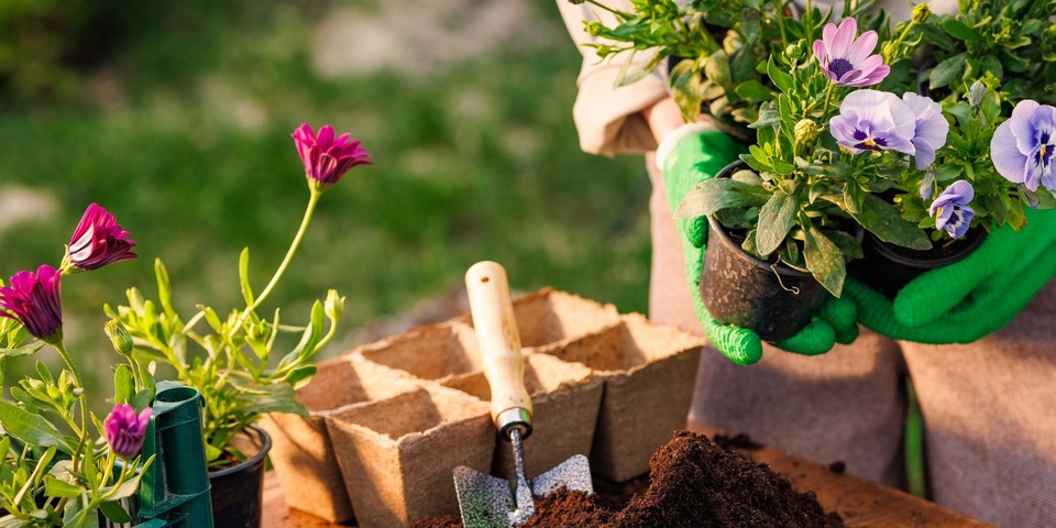 Iemand is bloemetjes aan het planten