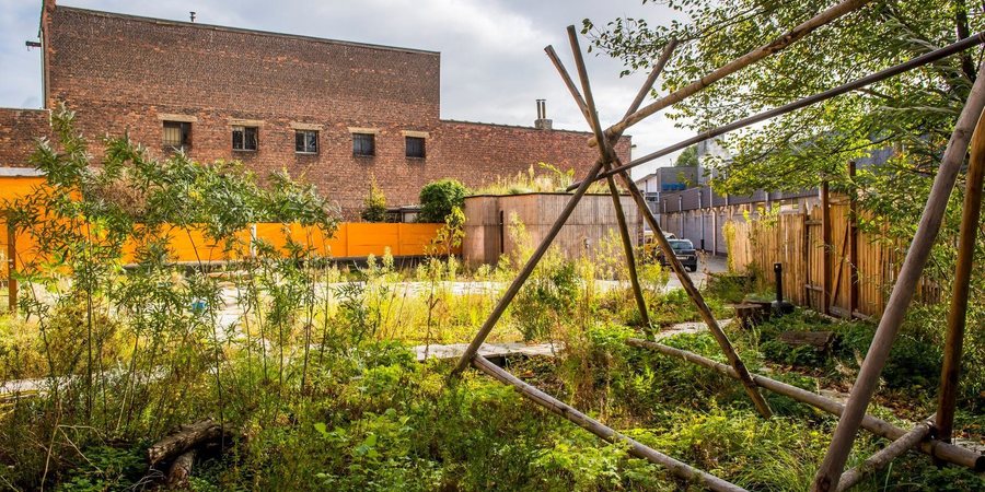 Tuin op het dak van het Scoutsgebouw Tuin op het dak van het Scoutsgebouw