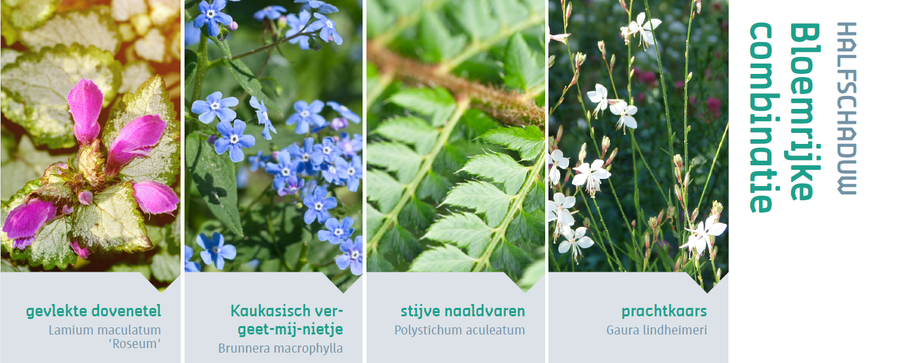 Bloemrijke Combinatie