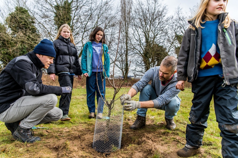 Een man plant een boom, anderen kijken toe.