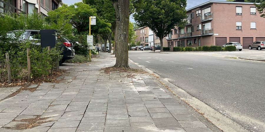 Foto Edenlaan