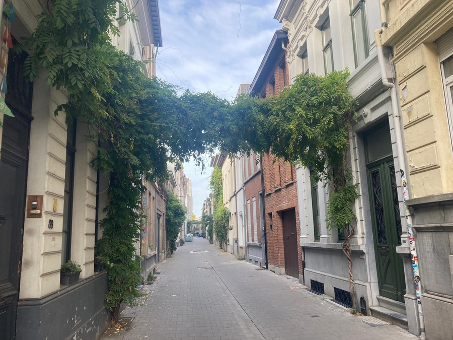 Groenslinger in straat