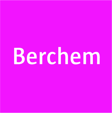 Website preview