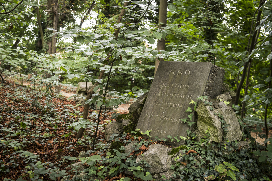 Natuurhistorisch Museum Boekenberg