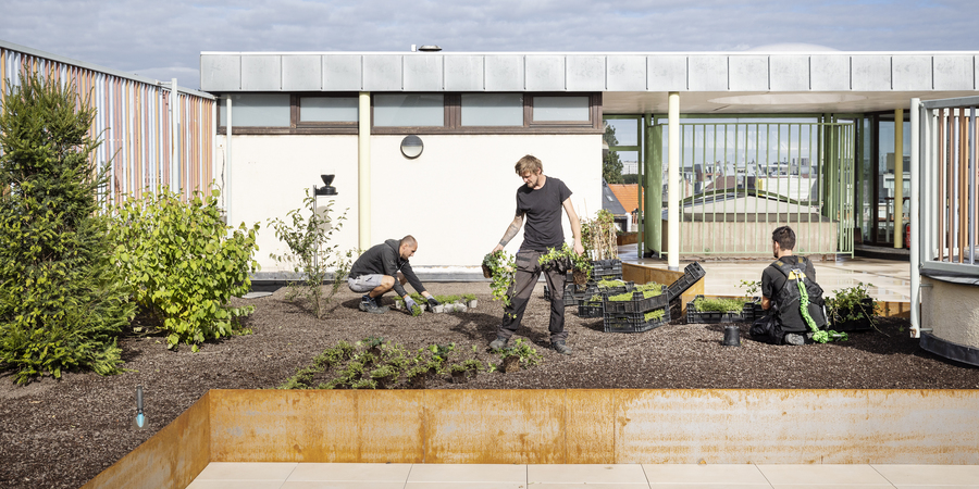 Mannen leggen een toegankelijk groendak aan op een school. Mannen leggen een toegankelijk groendak aan op een school.