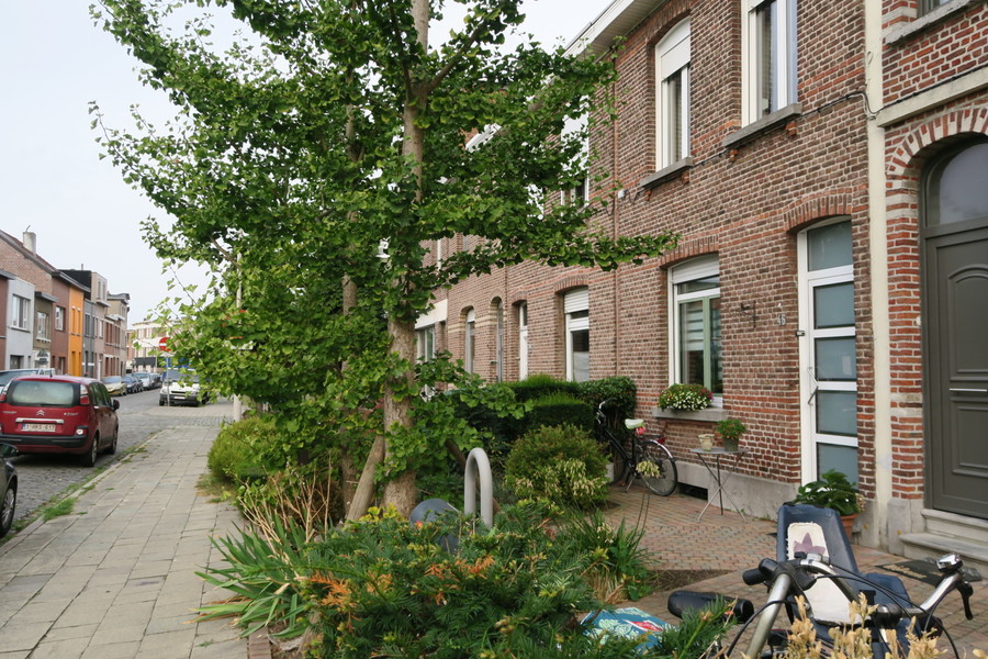 Een haag of struiken in de voortuin zijn effectief als ze in hoogte en breedte een scherm vormen met het verkeer van de straat. Een haag of struiken in de voortuin zijn effectief als ze in hoogte en breedte een scherm vormen met het verkeer van de straat.