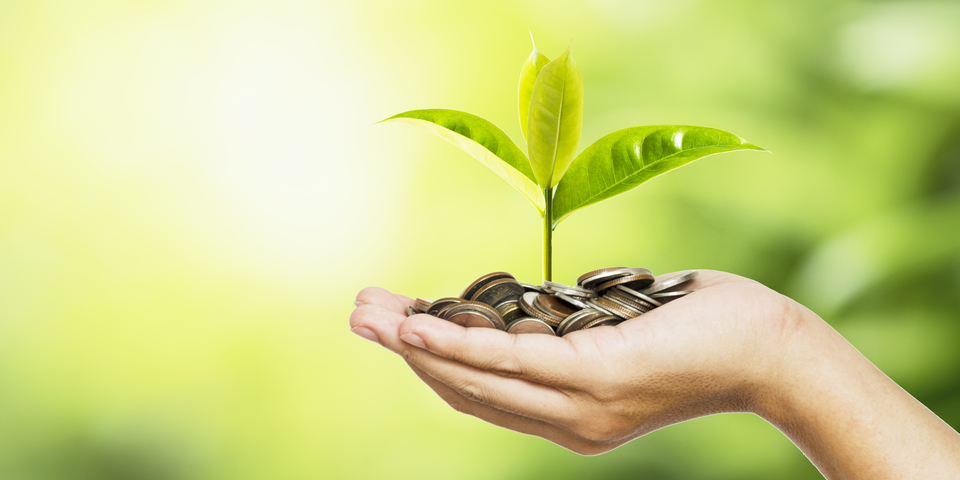 hand met muntstukken waaruit een groen plantje groeit hand met muntstukken waaruit een groen plantje groeit