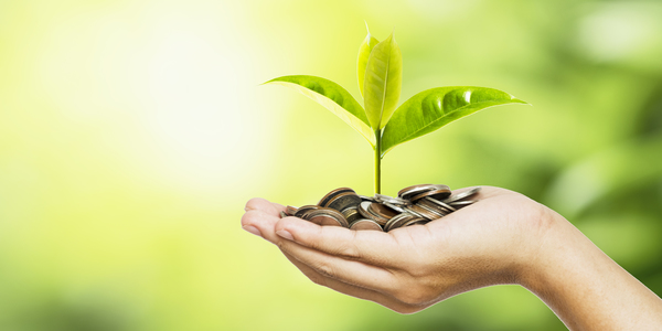 hand met muntstukken waaruit een groen plantje groeit