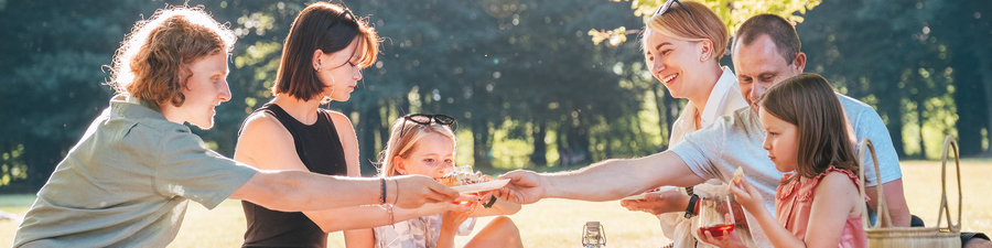 Picknick Picknick