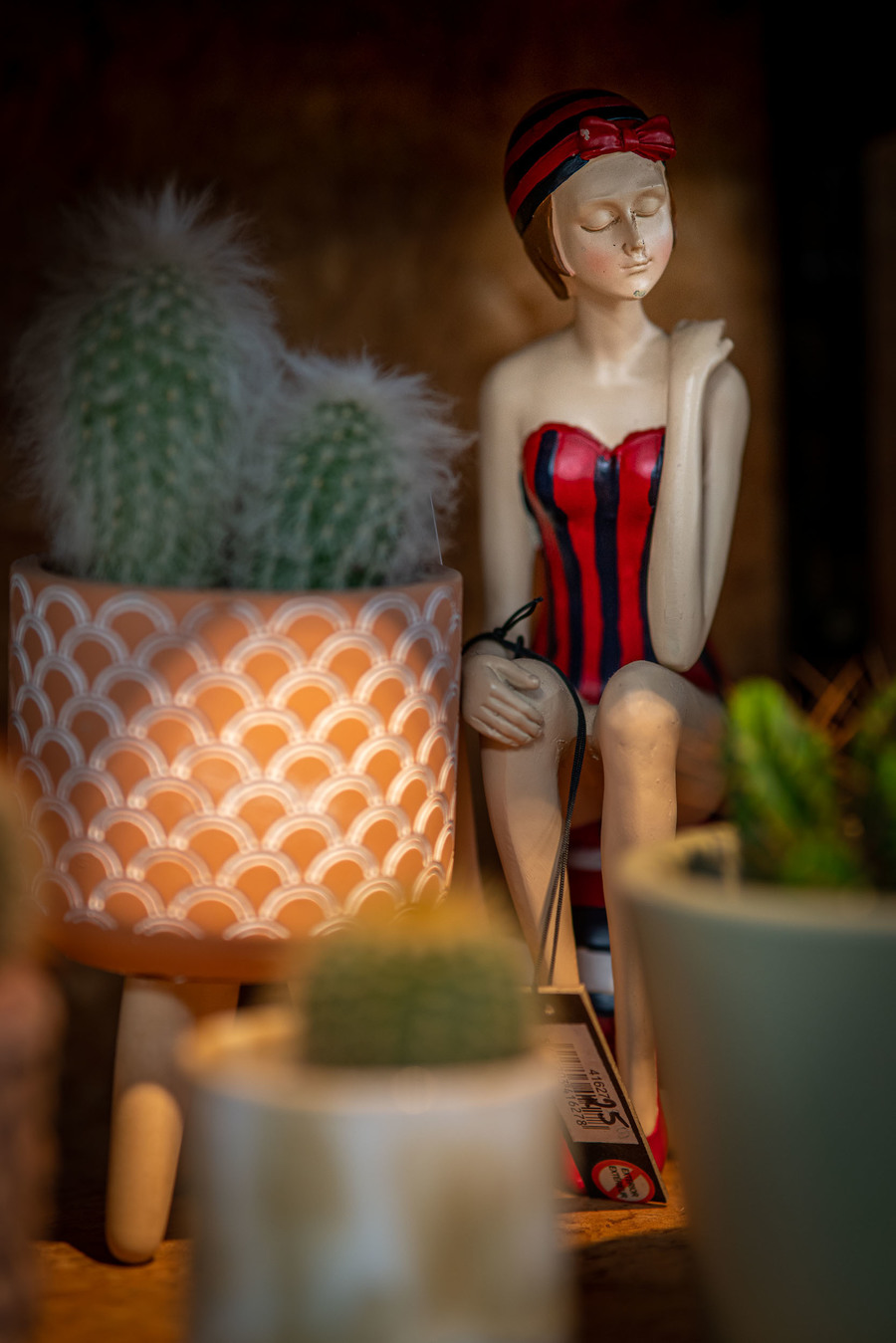 Beeldje en cactusjes in een bloempotje