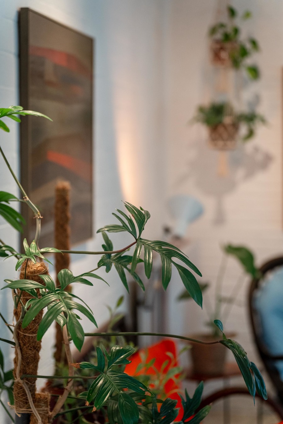 Planten in het interieur