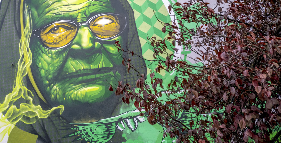 Graffitiportret van een oude dame die Moeder Natuur voorstelt Graffitiportret van een oude dame die Moeder Natuur voorstelt
