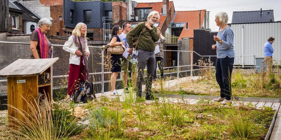 Bezoekers op het dak van beweging.net krijgen uitleg over het groendak