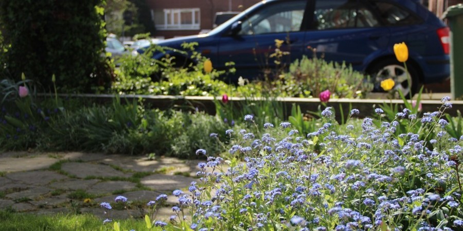 In deze smalle strookjes bloeien vergeet-me-nietjes, tulpen en blauwe druifjes. Andere vaste planten maken zich klaar voor hun bloei later in het seizoen. Tussen de stapstenen van het pad groeit er gras. In deze smalle strookjes bloeien vergeet-me-nietjes, tulpen en blauwe druifjes. Andere vaste planten maken zich klaar voor hun bloei later in het seizoen. Tussen de stapstenen van het pad groeit er gras.