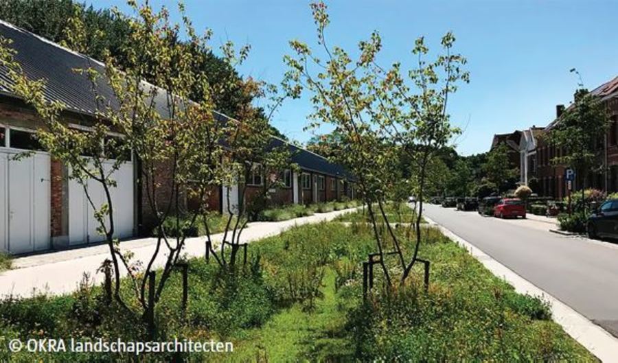 Referentiebeeld - groenzone voor regenwaterinfiltratie