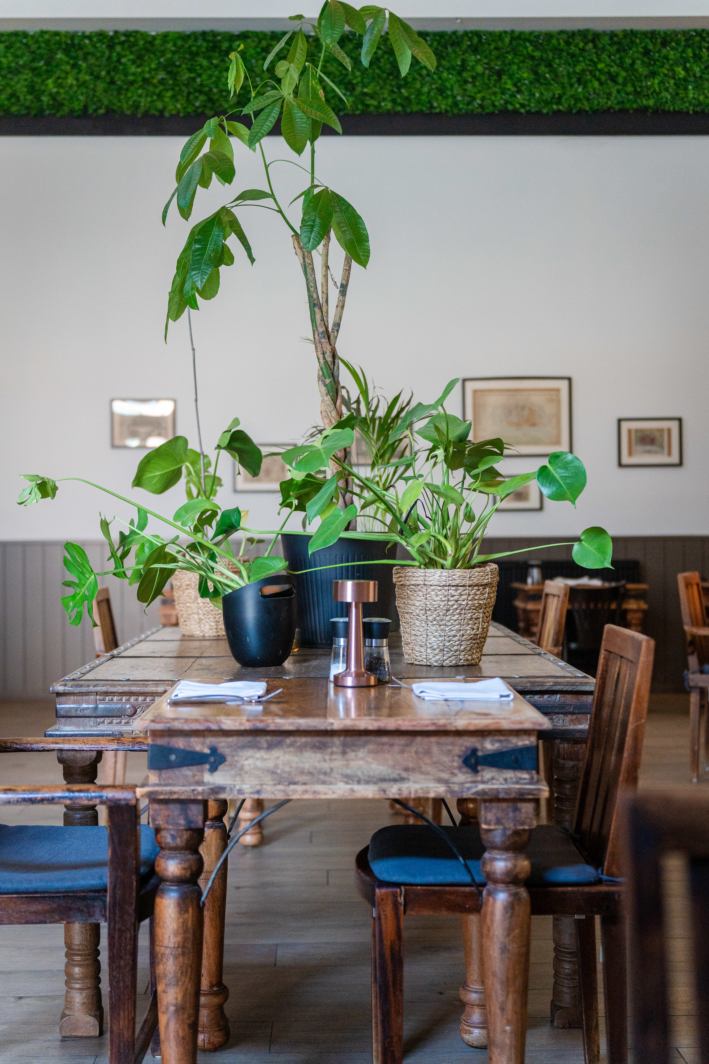 Potten met planten op een tafel