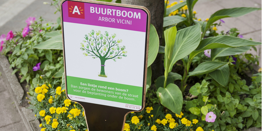 een buurtboom met beplante boomspiegel een buurtboom met beplante boomspiegel