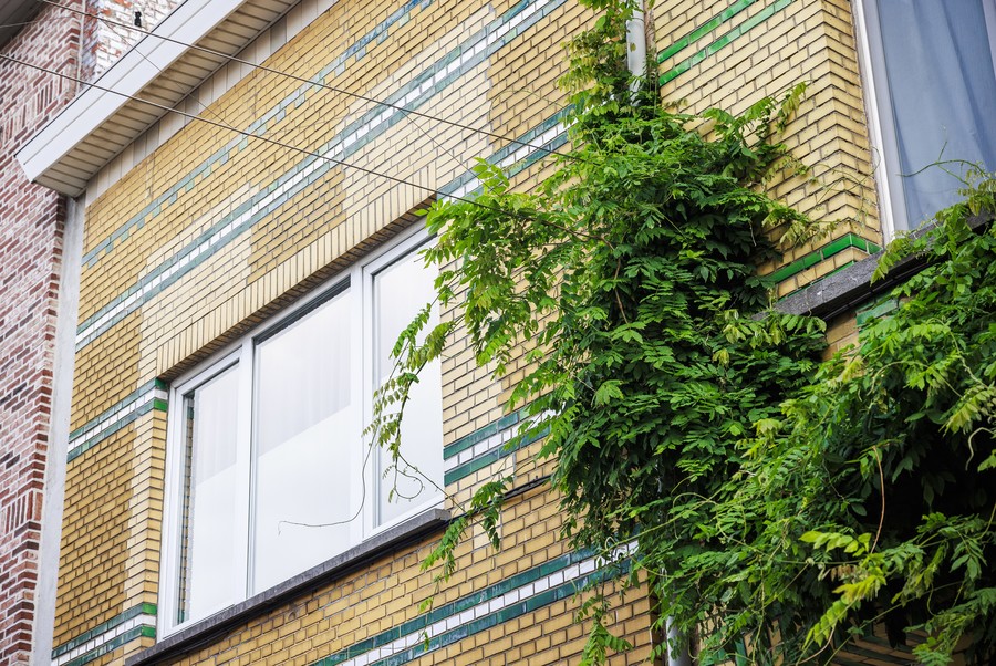 Detail van de kabel van de groenslinger. Detail van de kabel van de groenslinger.