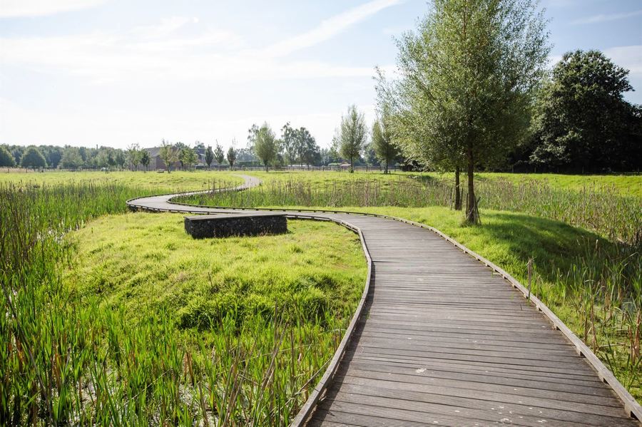 Vlonderpad Geboortebos in Borsbeek
