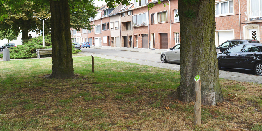 Toekomstbomen Toekomstbomen