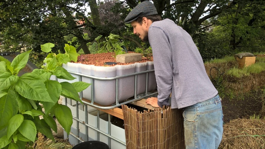 aquaponicssysteem op het dak van Pakt aquaponicssysteem op het dak van Pakt