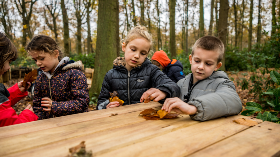 Kinderen maken een kunstwerk van bladeren en takken op een tafel in speelbos Hof De Bist