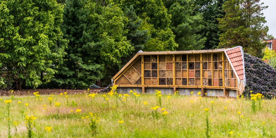 Insectenhotel met gewild gras op de voorgrond Insectenhotel met gewild gras op de voorgrond