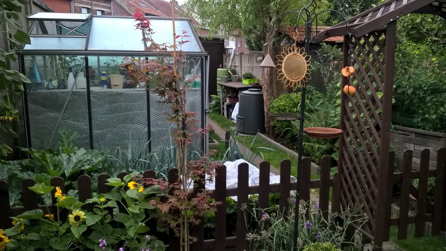 planten, een serre en bakken om te composteren in een kringlooptuin planten, een serre en bakken om te composteren in een kringlooptuin