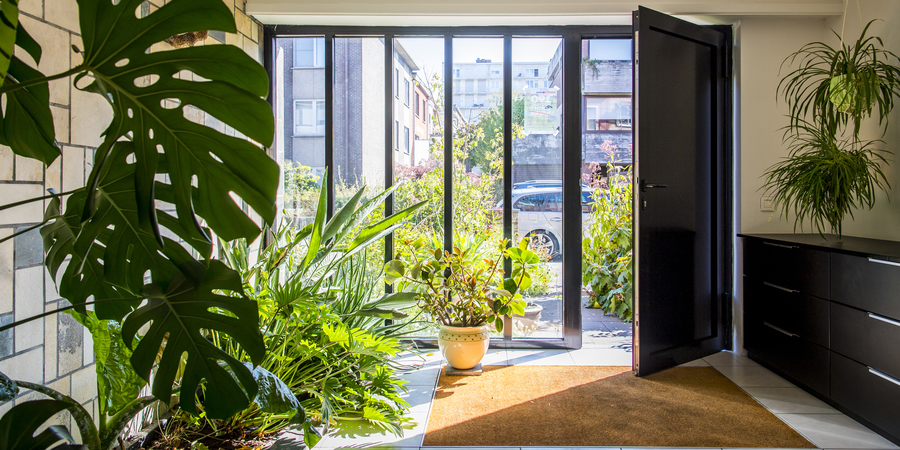 Beeld van het zicht vanuit de inkom van het huis, met een groene plantenstrook Beeld van het zicht vanuit de inkom van het huis, met een groene plantenstrook