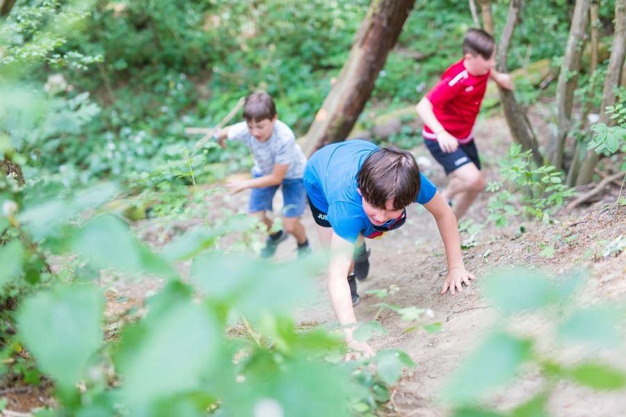 Kinderen klimmen een berg op