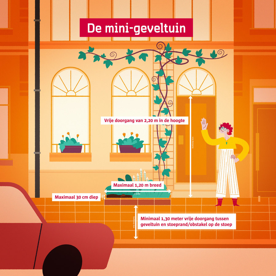 Visuele voorstelling van de regels voor een mini-geveltuin Visuele voorstelling van de regels voor een mini-geveltuin