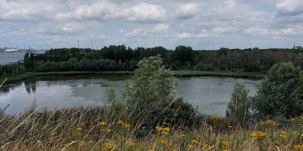 Beeld vanop de uitkijktoren over de Opstalvallei