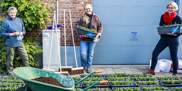 Enkele bewoners van een Wilrijkse straat houden tijdens de Lentepoets bloembakken met geraniums vast.