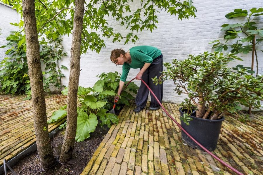 Tip van Boud: je hoeft geen cement te gebruiken voor de aanleg voor een terras of patio met steen. Breekzand is goedkoop, legt zich prima stabiel, het laat toe om tegels te herschikken en regenwater om in te sijpelen. Tip van Boud: je hoeft geen cement te gebruiken voor de aanleg voor een terras of patio met steen. Breekzand is goedkoop, legt zich prima stabiel, het laat toe om tegels te herschikken en regenwater om in te sijpelen.