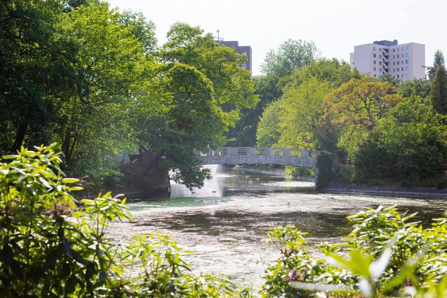 Het bruggetje in park Sorghvliedt