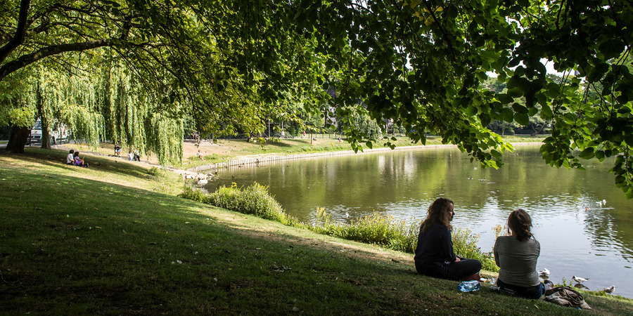 twee mensen genieten van het groen in het stadspark twee mensen genieten van het groen in het stadspark