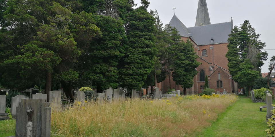 Stilteplek en begraafplaats Sint-Rochus