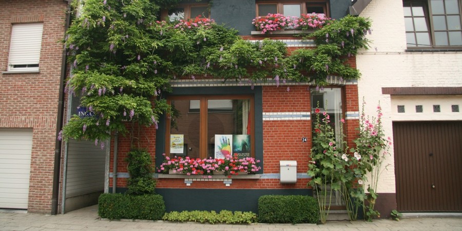 De aanplanten van groen rond je huis is één van de dingen die je zelf kan doen om de kwaliteit van je leefomgeving te verbeteren, op veel verschillende vlakken. Elke maatregel, zowel klein als groot, heeft effect. De aanplanten van groen rond je huis is één van de dingen die je zelf kan doen om de kwaliteit van je leefomgeving te verbeteren, op veel verschillende vlakken. Elke maatregel, zowel klein als groot, heeft effect.