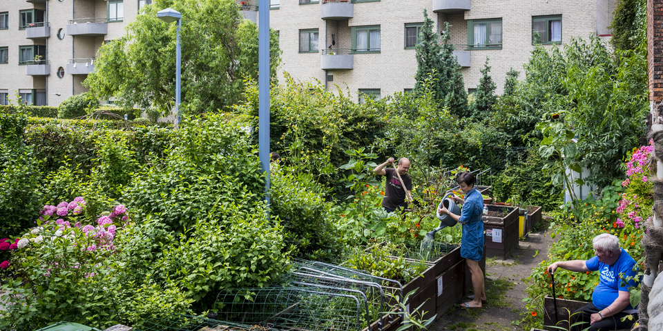 samentuin De Verborgen Kloostertuin