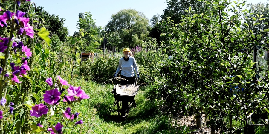 Dame met kruiwagen tussen planten en bloemen Dame met kruiwagen tussen planten en bloemen