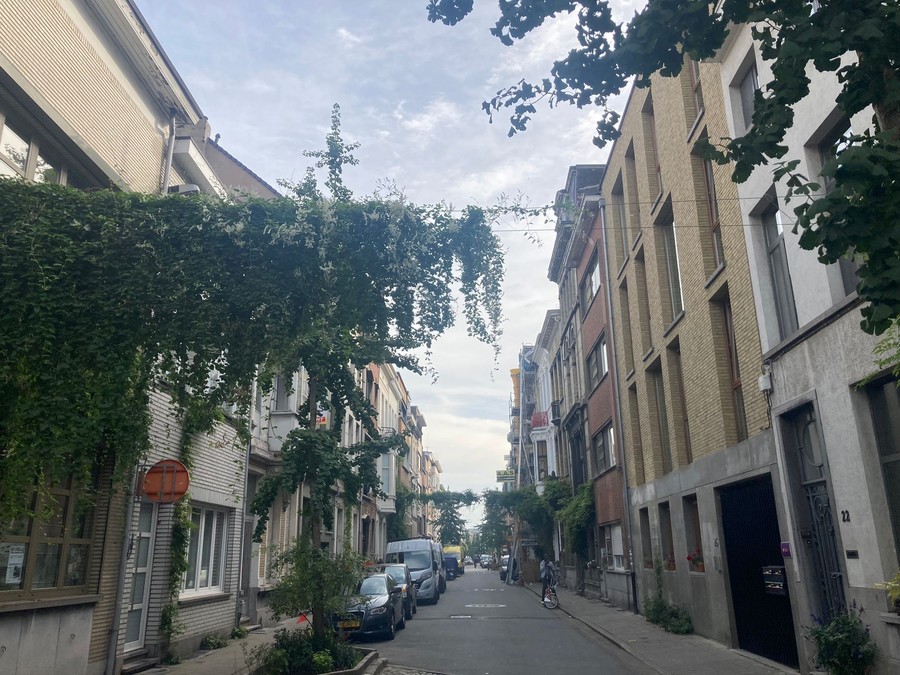 Groenslinger in straat