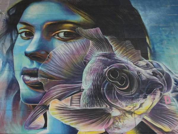 Mural van Djoels waarop zij en haar goudvisje Bas staan afgebeeld. Mural van Djoels waarop zij en haar goudvisje Bas staan afgebeeld.