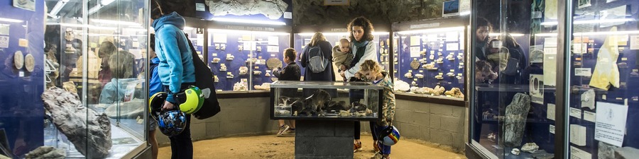 Museum Museum
