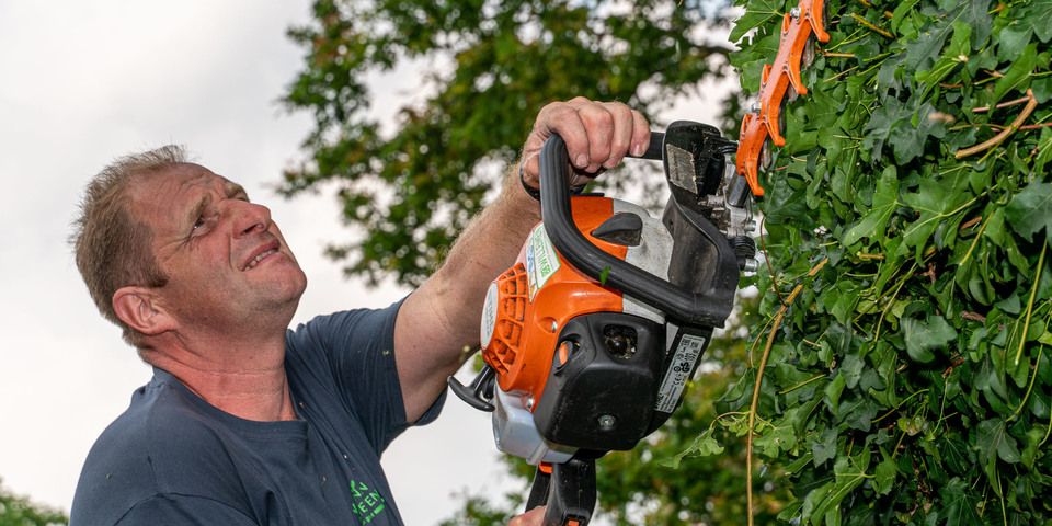 Stefan snoeit een grote boom